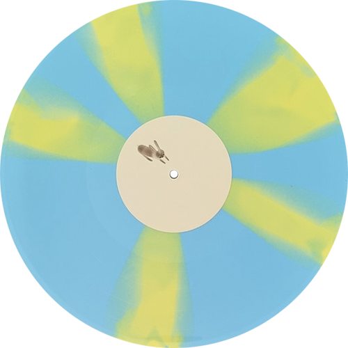Guest pass vinyl record